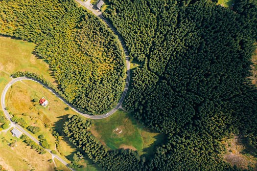 Od Stolů po Skrýně: Vývoj Blackjacku v ČR od 90. let