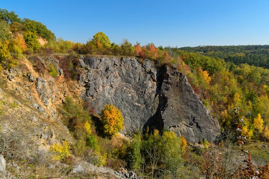 Jak digitalizace mění hazardní hry v České republice